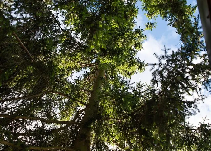 Marina House - Caloroczny Holiday home